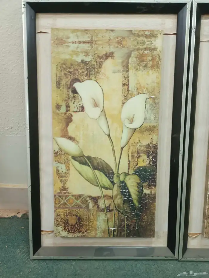 لوحات فنيه 0