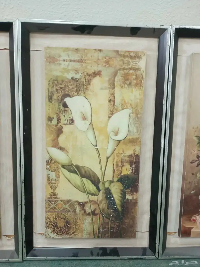 لوحات فنيه 2