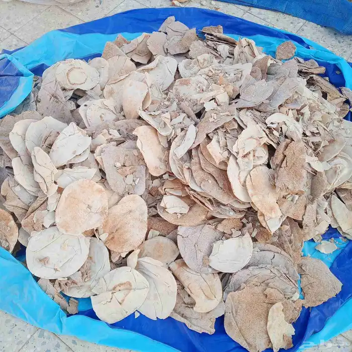 خبز ناشف ومكسر صافي ومخلوط نظيف 4
