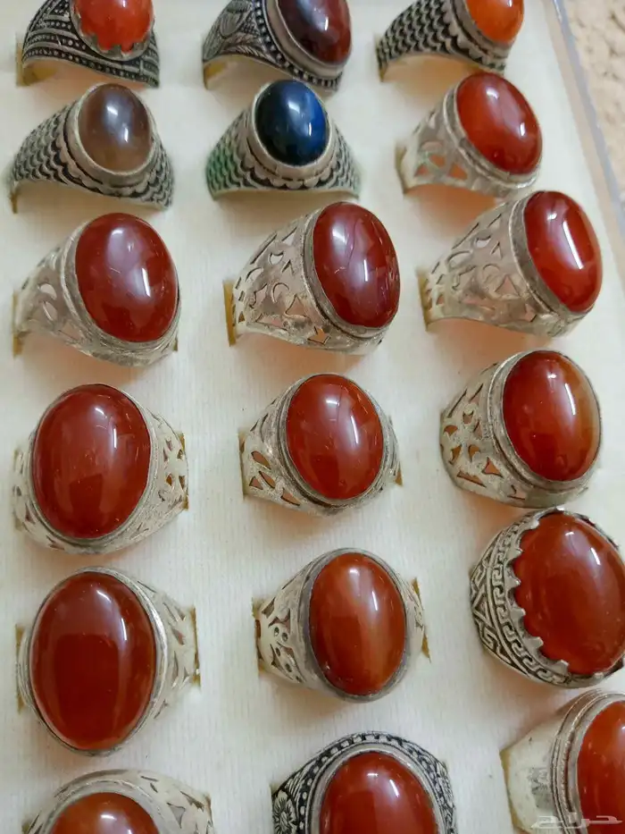 القنفذه 3