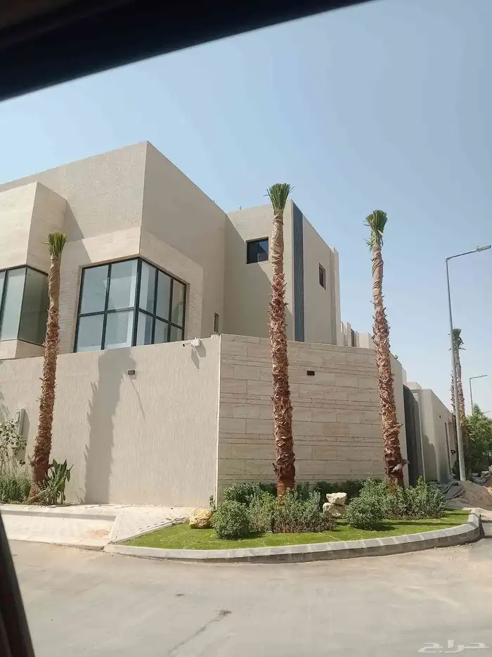 نخل نخيل واشنطن واشنطني ابو مروحه درجه اولى 0
