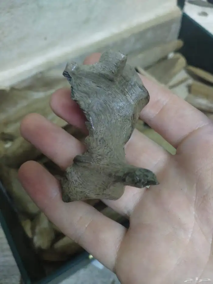 خشب عود مروكي طبيعي سوبر واقل خالي من تحسين 5