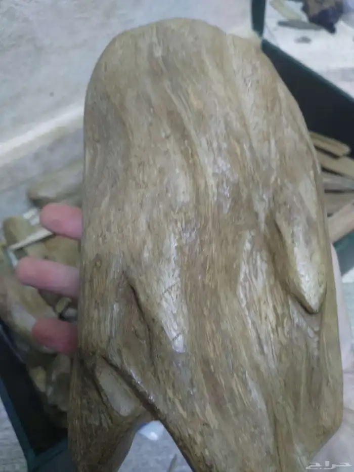 خشب عود مروكي طبيعي سوبر واقل خالي من تحسين 1