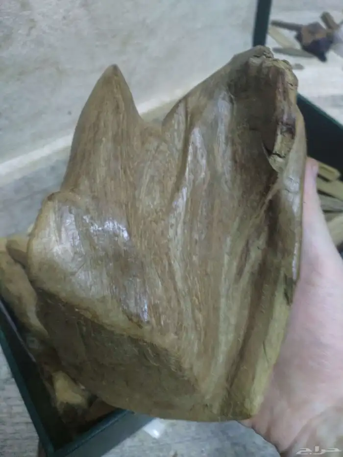 خشب عود مروكي طبيعي سوبر واقل خالي من تحسين 2