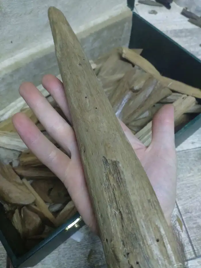 خشب عود مروكي طبيعي سوبر واقل خالي من تحسين 4