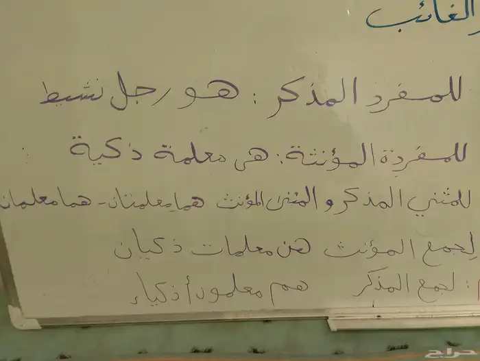 معلم متابعة وتأسيس جميع المواد الدراسية والمراحل التعليمية 7