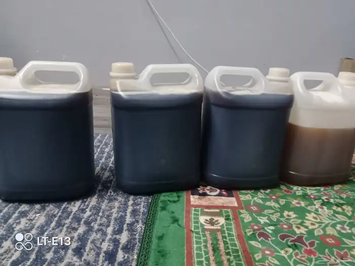 العسل السمره دوعني يمني اصلي طبيعي على شرط 1
