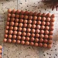 بيض عضوي لوهمان براون 3