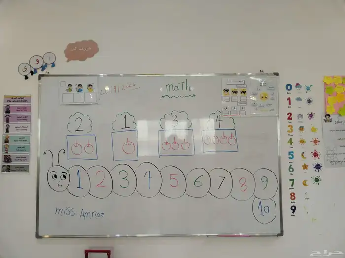 معلمة تأسيس جميع مواد ابتدائي 0