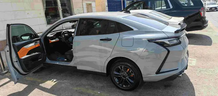 Dongfeng Shine 2025 4