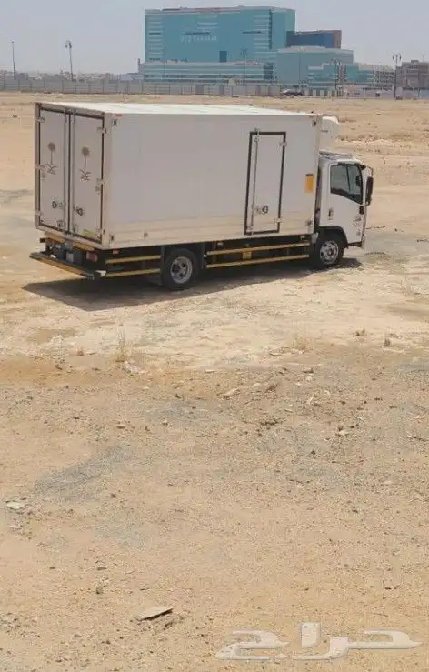 ايجار دينا شبك 0