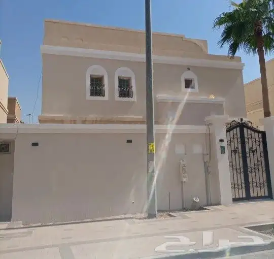 صباغ جوتن الاحساء 7