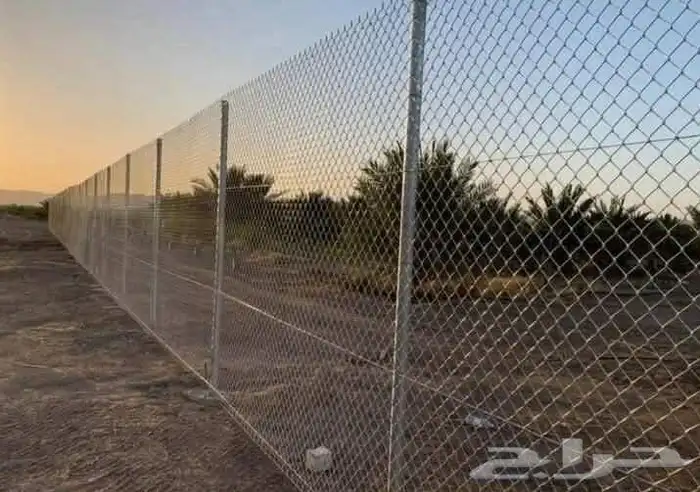 شبوك مزارع جميع انواع الشبوك متوفره 0