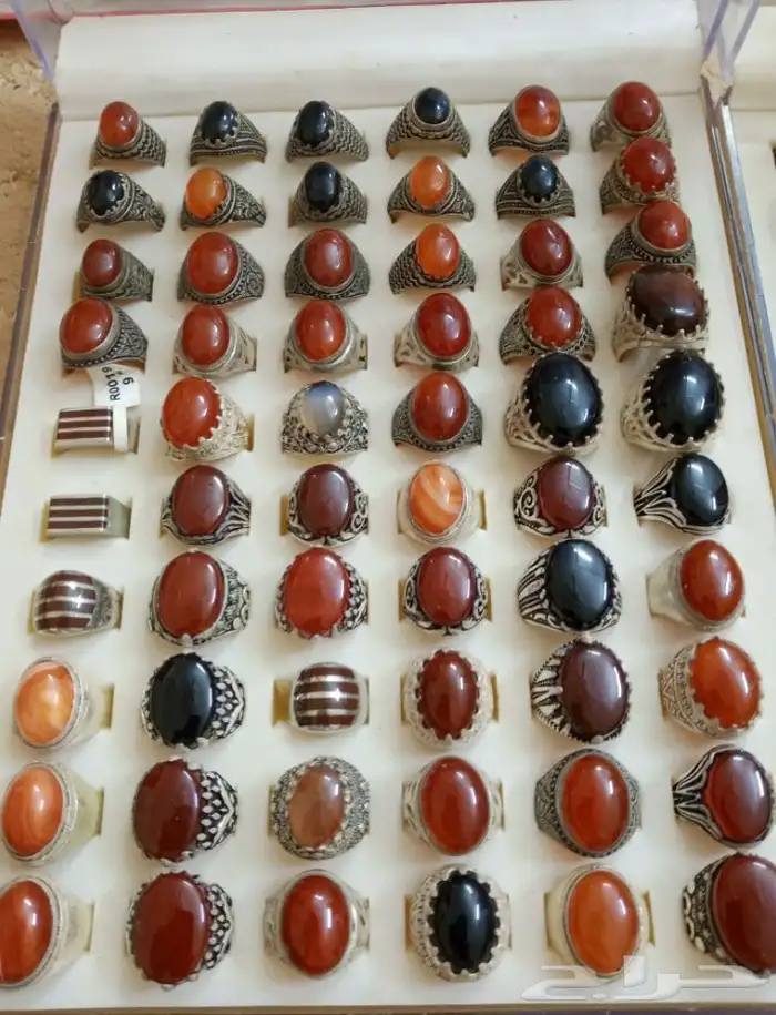 القنفذه 6