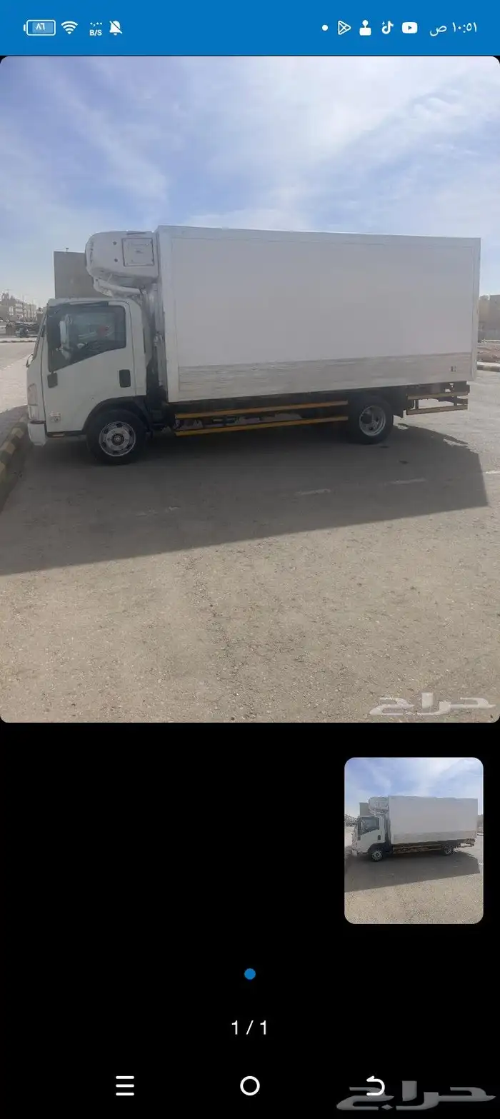 ايجار دينا شبك 6