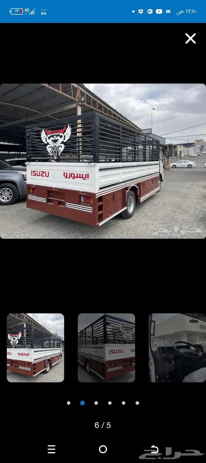 ايجار دينا شبك 2