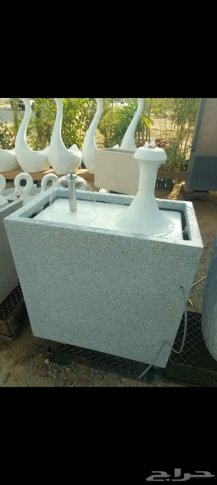 مؤسسة زهرة الخليج الزراعية نجران -دحضة 7