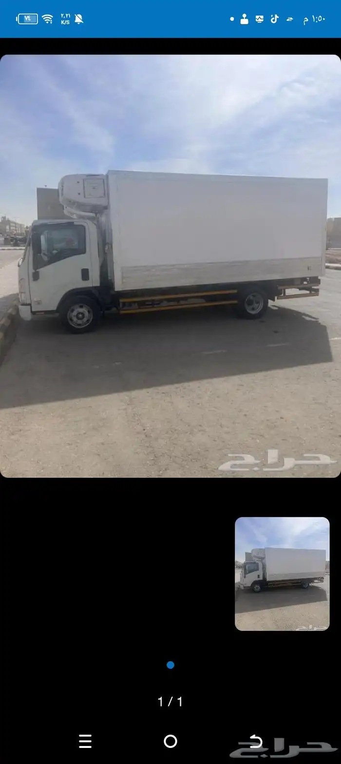 ايجار دينا شبك 7