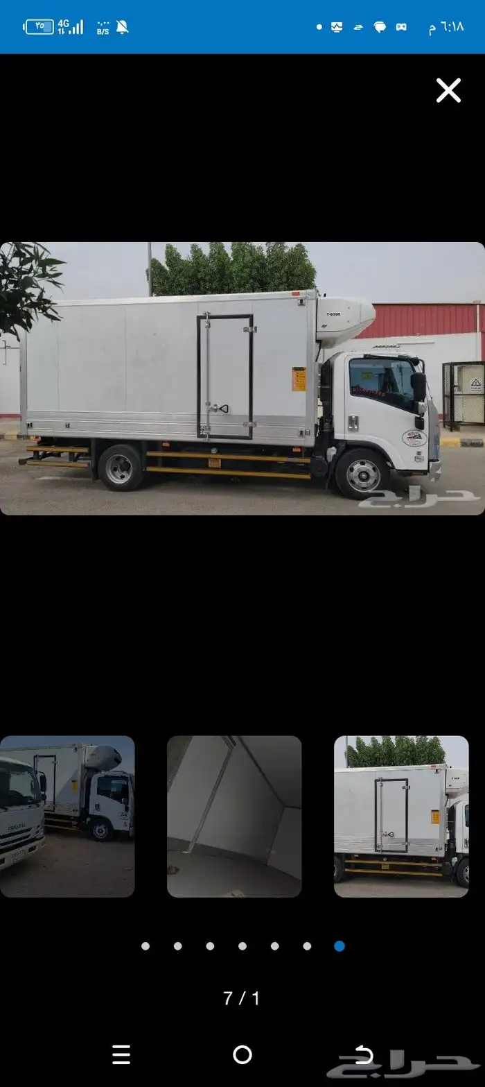 ايجار دينا شبك 1