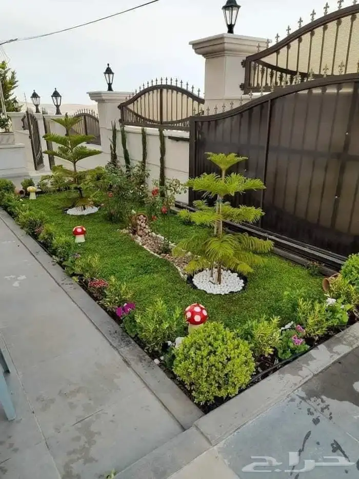 مشتل مشاتل 6