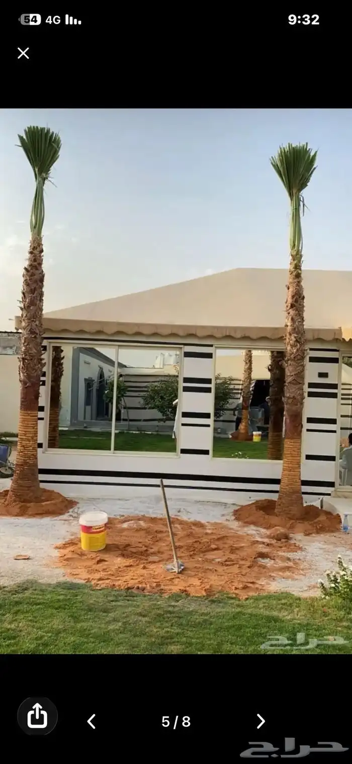زراعة النخيل الوشنطن وزرعه العشب الطبيعي وزرعه الشجار وتسيك 0