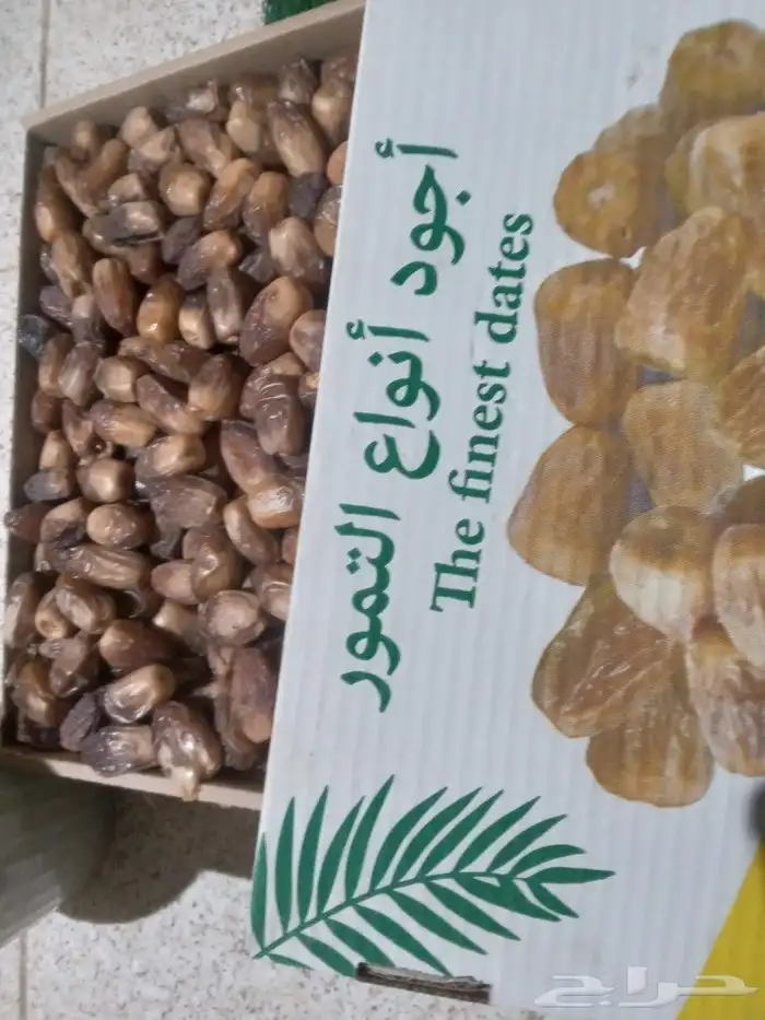 تمر المجدولة جديد سعر الكرتون 75 1