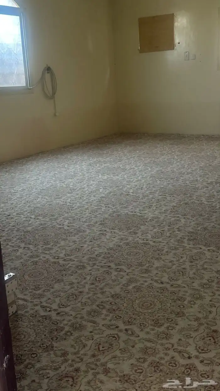 سجاد تركي للبيع 0