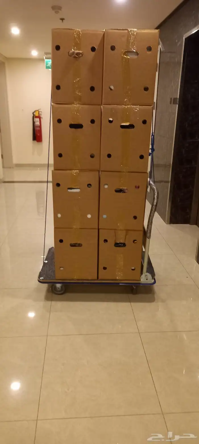 نقل عفش بالدمام 7