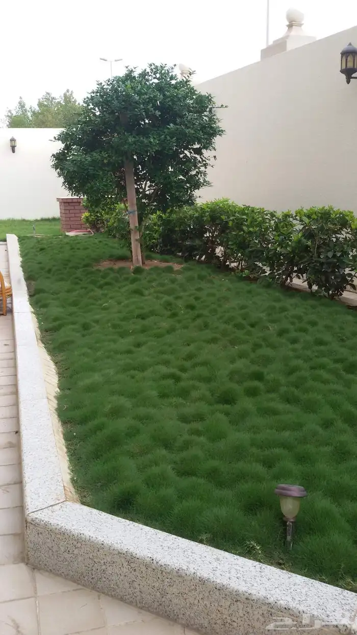 الانجاز لتنسيق الحدائق جده و مكه 8