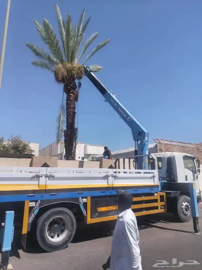 كرين ونش للايجار اليومي وشهري والمشوير للتواصل 2