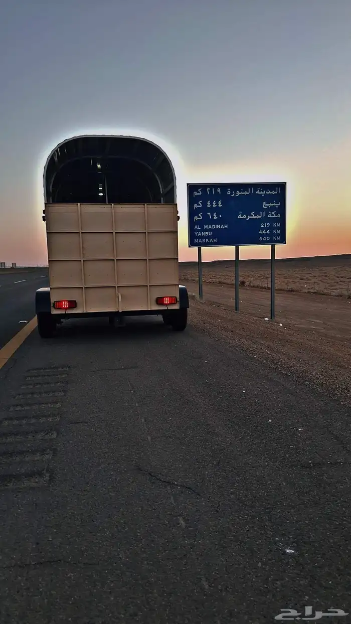 عربة خيل راسين جاهزه للنقل داخل وخارج جده 1
