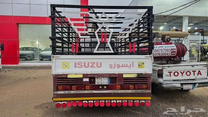 دينا ايسوزو 2013 للبيع 3