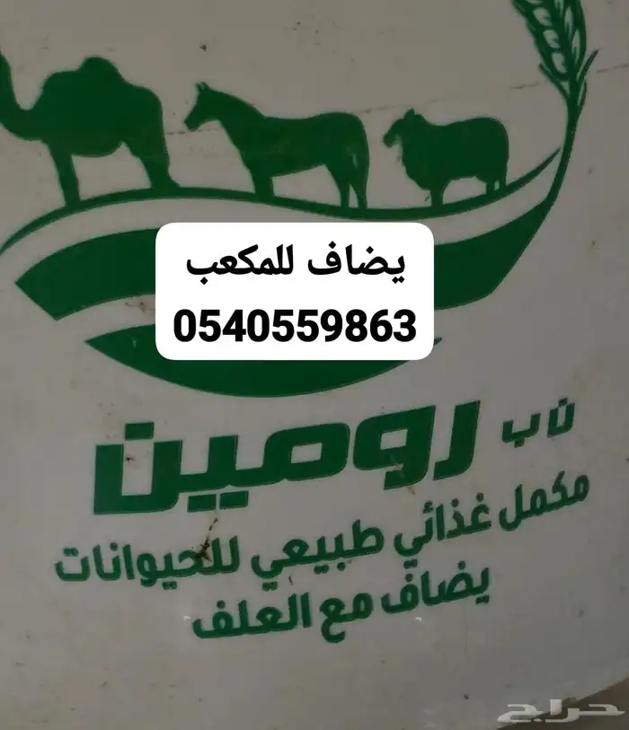 مكعب الشعير 2
