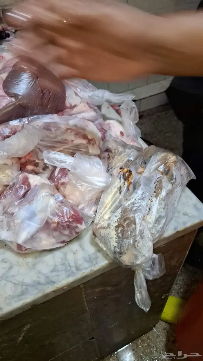 مزرعة ومراح حلال الديرة لبيع الذبائح واللحوم الطازجه 1