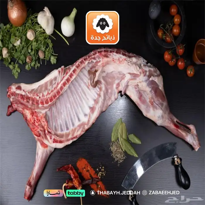 خروف حري جده - جدة 1