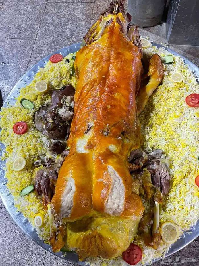 طليان حريات 8