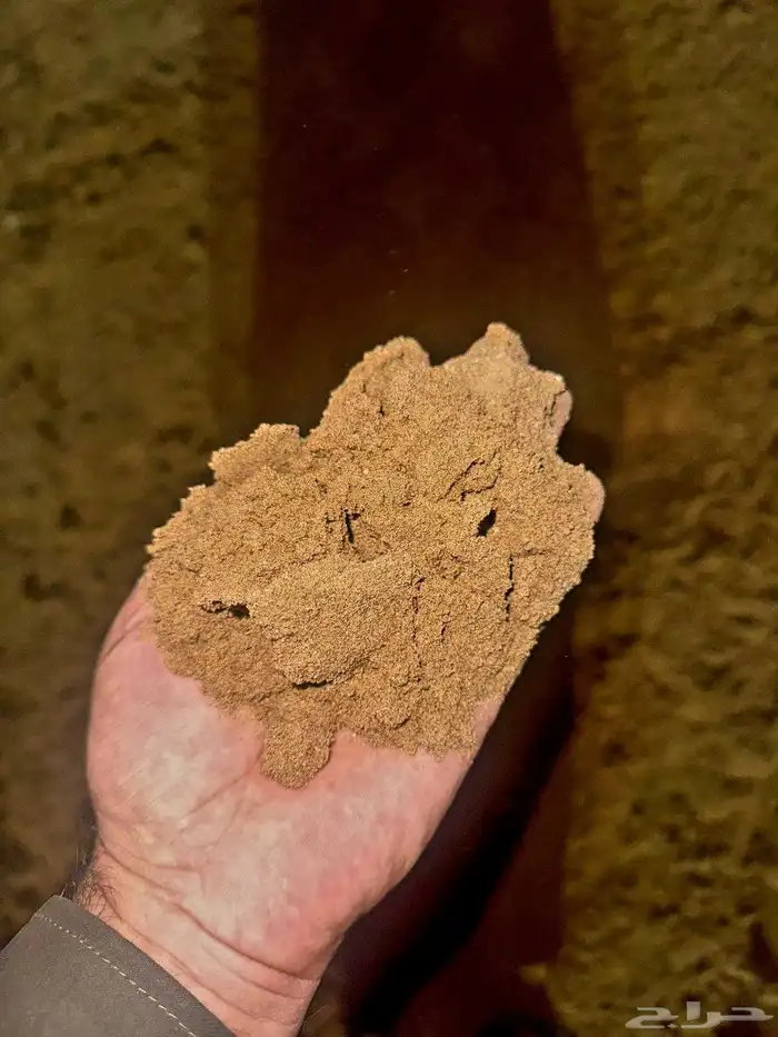 خرسان طرطشة دفان بطحه دفان 6