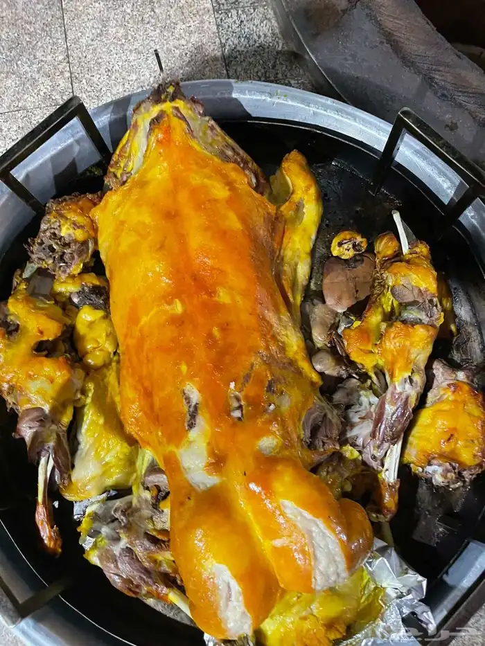 طليان حريات 6