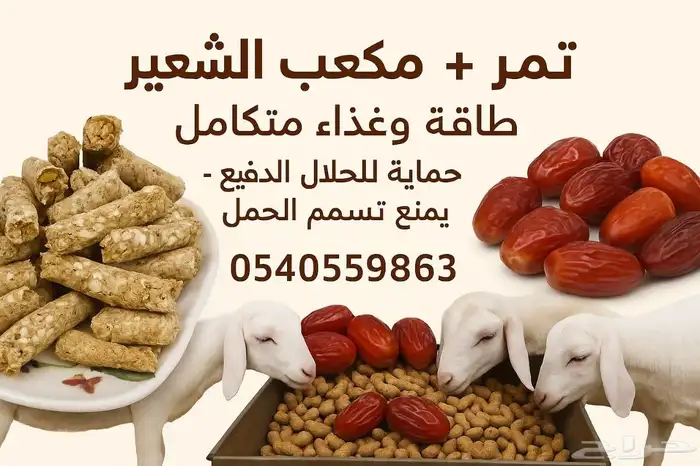 مكعب الشعير 4