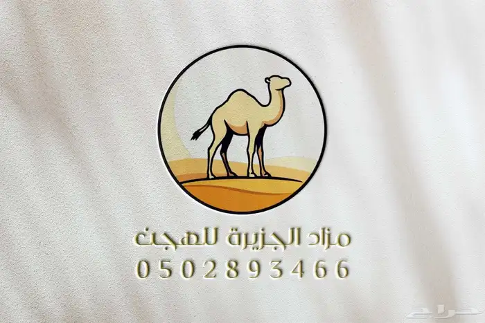 تصميم شعارات فخمه باسعار مميزه 5