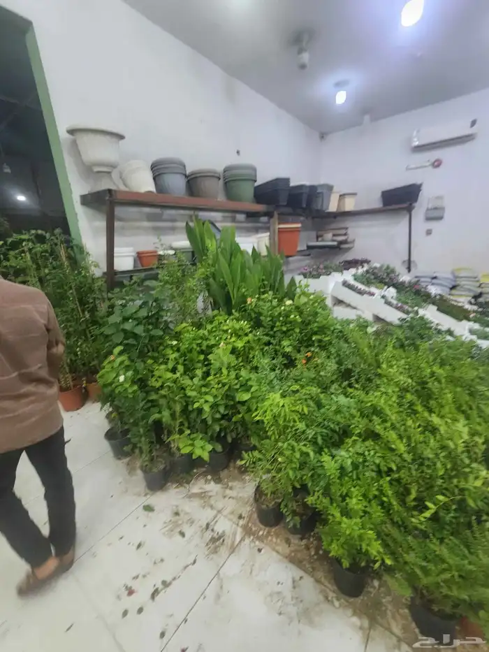 اشجار زراعيه فني زراعه 3