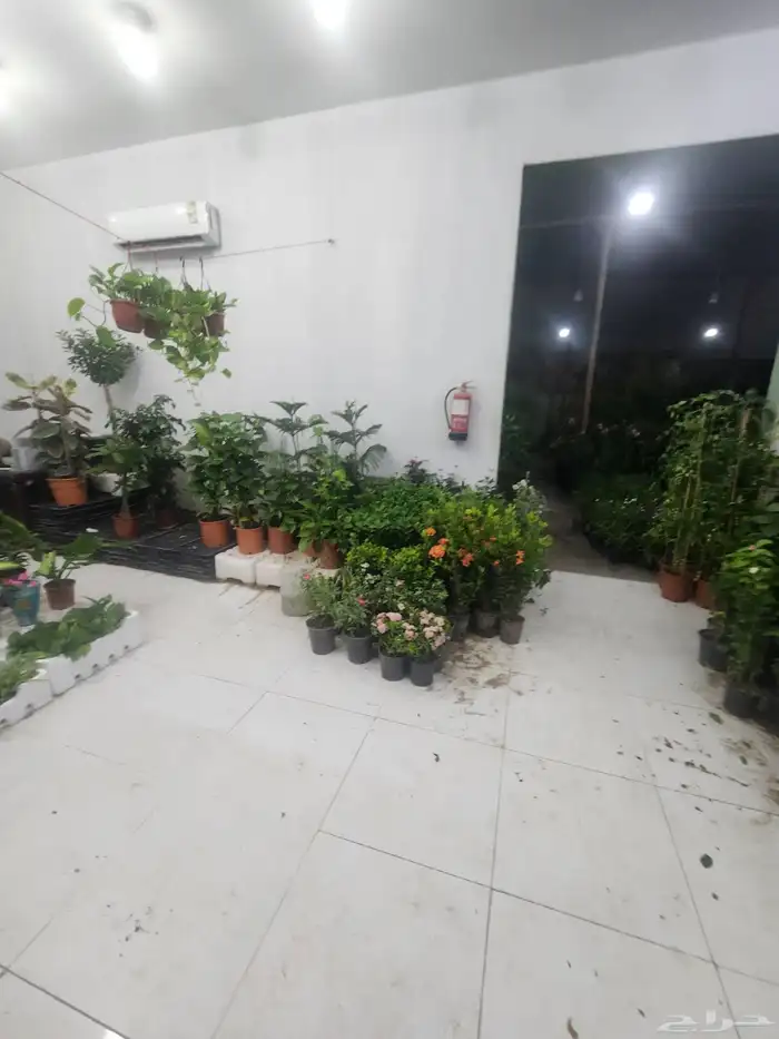 اشجار زراعيه فني زراعه 5