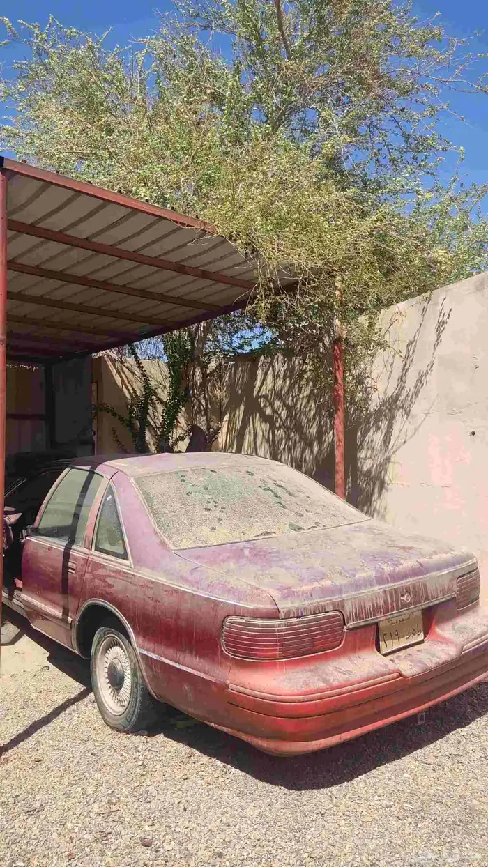 للبيع كابرس 93 تشاليح مطوف 16 سنه 0