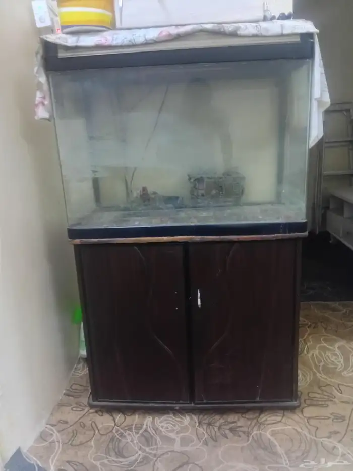 حوظ سمك مع جزامه 0