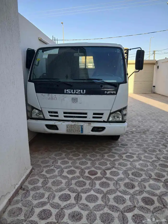 دينا ايسوزو 2008 5