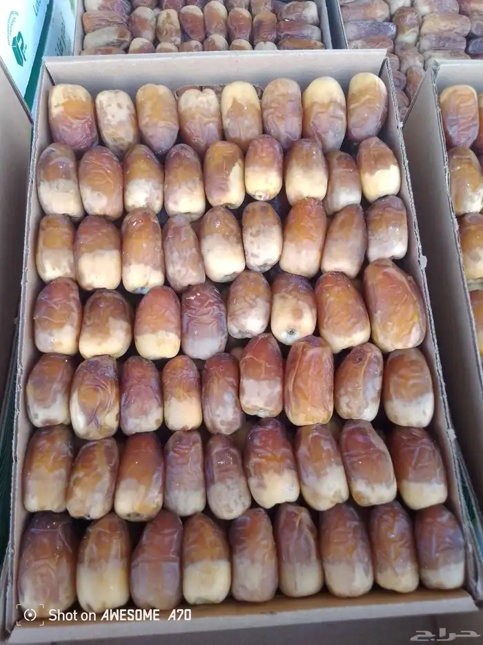 تمر صقعي ثلاجات. رطب ناشف 2