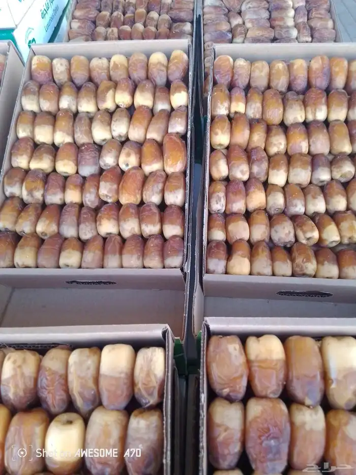 تمر صقعي ثلاجات. رطب ناشف 1