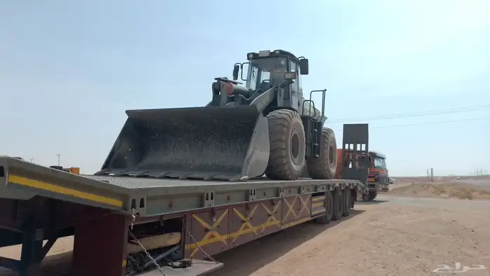 لوبد متواجد في الجنوب 1