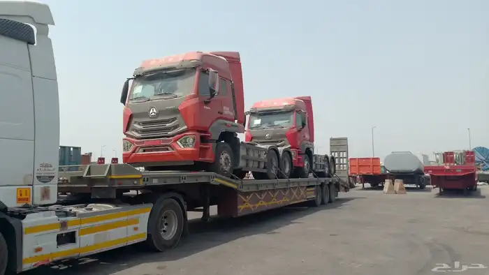 لوبد متواجد في الجنوب 0