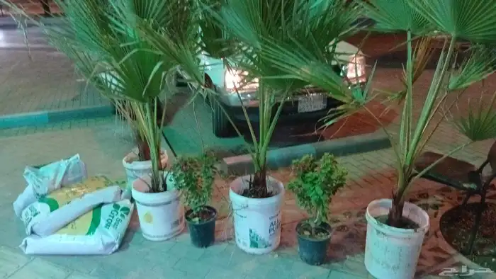 مشتل زراعي 0